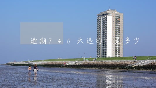 逾期740天违约金是多少 逾期740天违约金是多少