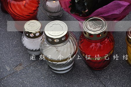 逾期7个月上征信已经结清了 逾期7个月上征信已经结清了