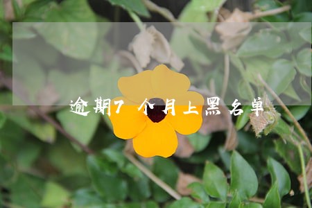 逾期7个月上黑名单 逾期7个月上黑名单