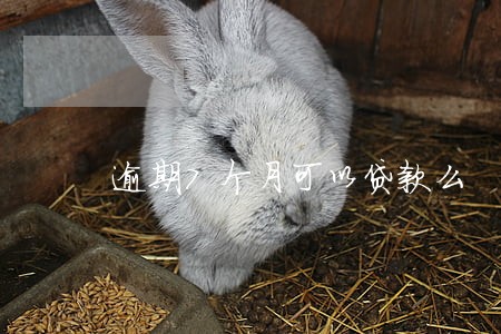 逾期7个月可以贷款么 逾期7个月可以贷款么
