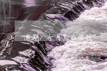 逾期7个月怎么借钱