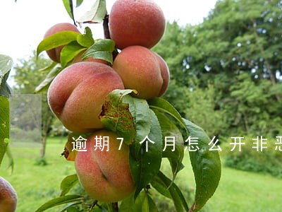 逾期7个月怎么开非恶意 逾期7个月怎么开非恶意