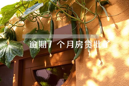 逾期7个月房贷批了 逾期7个月房贷批了