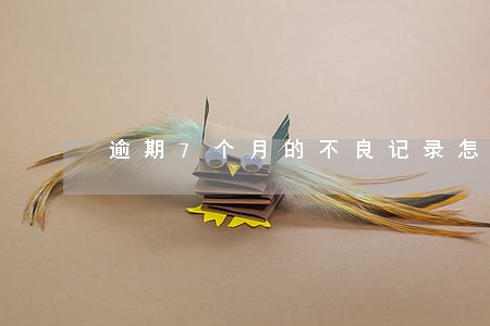 逾期7个月的不良记录怎么办 逾期7个月的不良记录怎么办