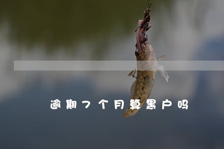 逾期7个月算黑户吗 逾期7个月算黑户吗