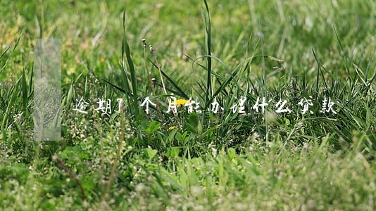 逾期7个月能办理什么贷款 逾期7个月能办理什么贷款