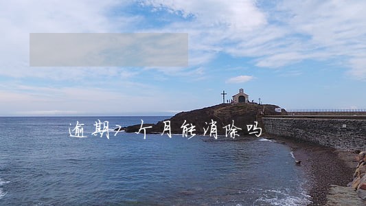 逾期7个月能消除吗 逾期7个月能消除吗