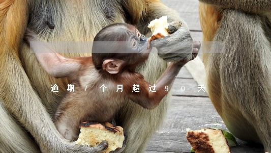 逾期7个月超过90天 逾期7个月超过90天