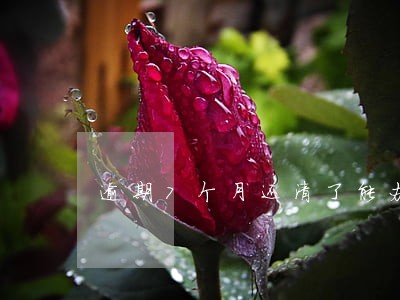 逾期7个月还清了能办房贷吗 逾期7个月还清了能办房贷吗
