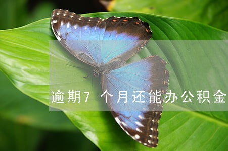 逾期7个月还能办公积金 逾期7个月还能办公积金