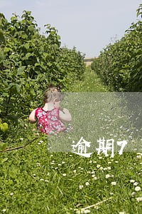 逾期7千多块钱影响买车么 逾期7千多块钱影响买车么