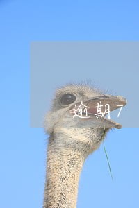 逾期7天上了征信会有哪些影响 逾期7天上了征信会有哪些影响