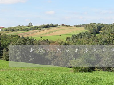 逾期7天以上多久可以消除