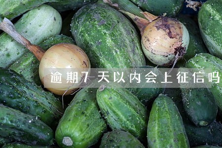 逾期7天以内会上征信吗