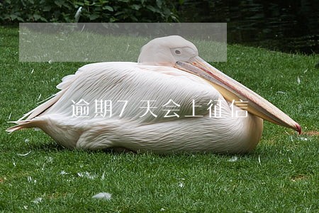 逾期7天会上征信 逾期7天会上征信