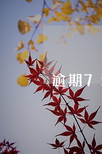 逾期7天会上征信报告吗 逾期7天会上征信报告吗