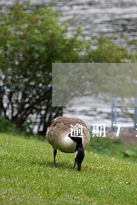 逾期7天会上门催款吗 逾期7天会上门催款吗