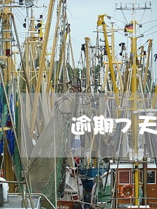 逾期7天会全额还款吗 逾期7天会全额还款吗