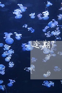 逾期7天信用卡会上征信吗 逾期7天信用卡会上征信吗