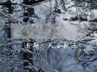 逾期7天全款还 逾期7天全款还