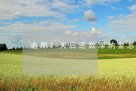 逾期7天后还款滞纳金怎么算 逾期7天后还款滞纳金怎么算