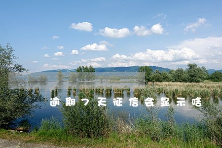 逾期7天征信会显示啥 逾期7天征信会显示啥