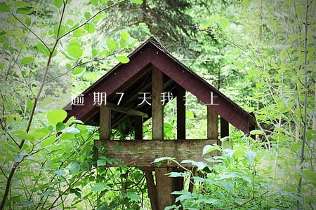 逾期7天我会上 逾期7天我会上