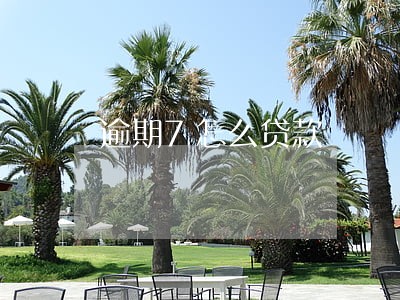 逾期7怎么贷款