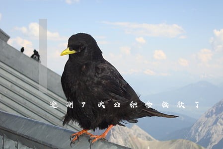 逾期7次公积金放款了 逾期7次公积金放款了