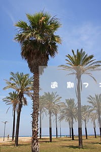 逾期7次可以贷款买房吗 逾期7次可以贷款买房吗