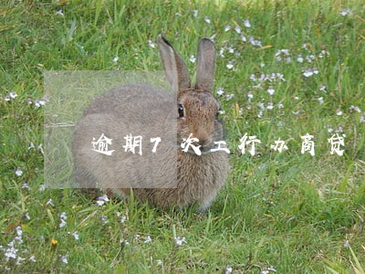 逾期7次工行办商贷 逾期7次工行办商贷