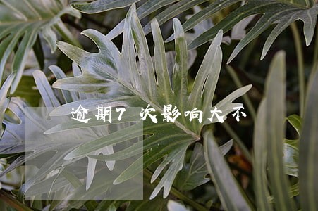 逾期7次影响大不 逾期7次影响大不
