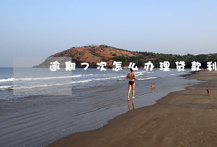 逾期7次怎么办理贷款利率 逾期7次怎么办理贷款利率