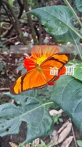 逾期7次能办理房贷吗 逾期7次能办理房贷吗