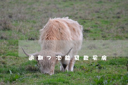 逾期7次能贷款买房