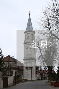 逾期7次贷款平台