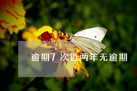 逾期7次近两年无逾期 逾期7次近两年无逾期