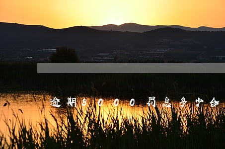 逾期8000罚息多少合法 逾期8000罚息多少合法