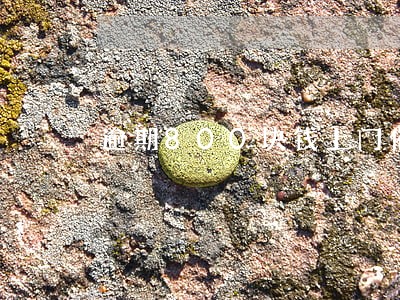 逾期800块钱上门催收