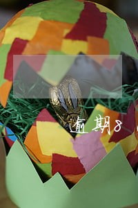 逾期80天能分期买车吗 逾期80天能分期买车吗