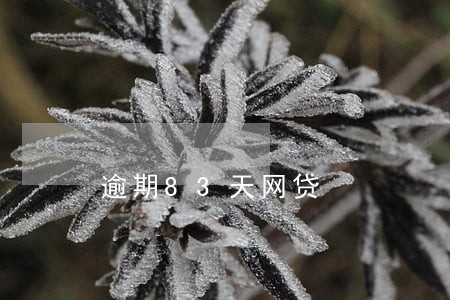 逾期83天网贷
