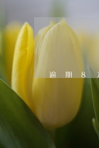 逾期8万会强制执行吗 逾期8万会强制执行吗