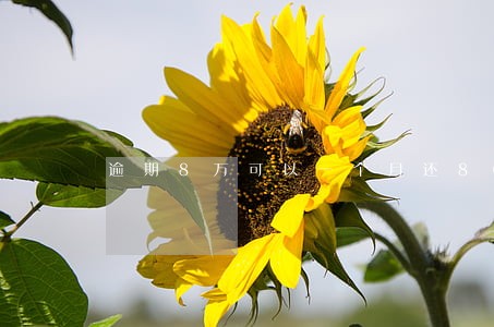 逾期8万可以一个月还8000吗 逾期8万可以一个月还8000吗