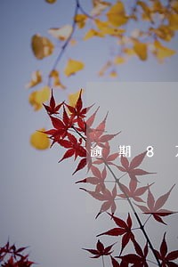 逾期8万如何避免上门 逾期8万如何避免上门