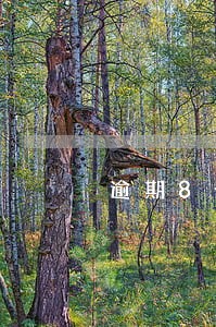 逾期8个月还能办理按揭吗 逾期8个月还能办理按揭吗