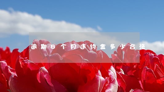 逾期8个月违约金多少合法 逾期8个月违约金多少合法
