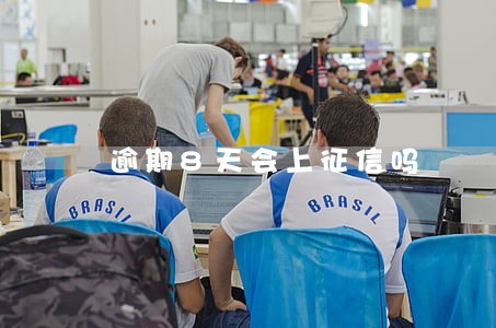 逾期8天会上征信吗 逾期8天会上征信吗