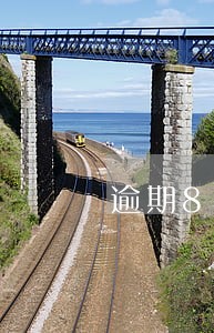 逾期8天会有什么影响