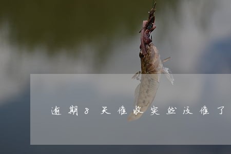 逾期8天催收突然没催了