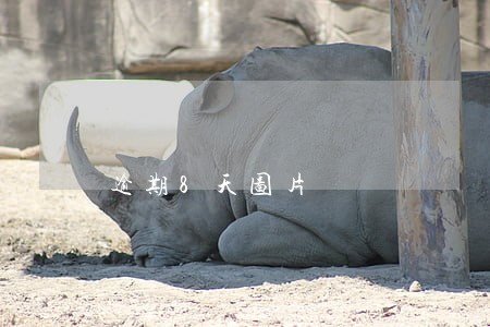 逾期8天图片 逾期8天图片